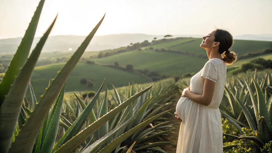 Organische Aloe Vera Schwangerschaftspflege: Natürliche Lösung für straffe, gesunde Haut ohne Dehnungsstreifen
