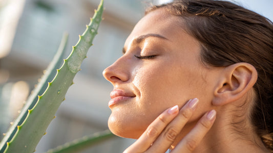 Aloe Vera Gel gegen trockene Heizungsluft: Feuchtigkeitsverlust im Büro stoppen