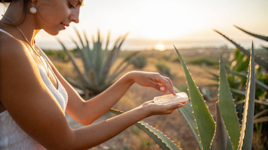Why Aloegarve Focuses on Aloe Vera for Skincare