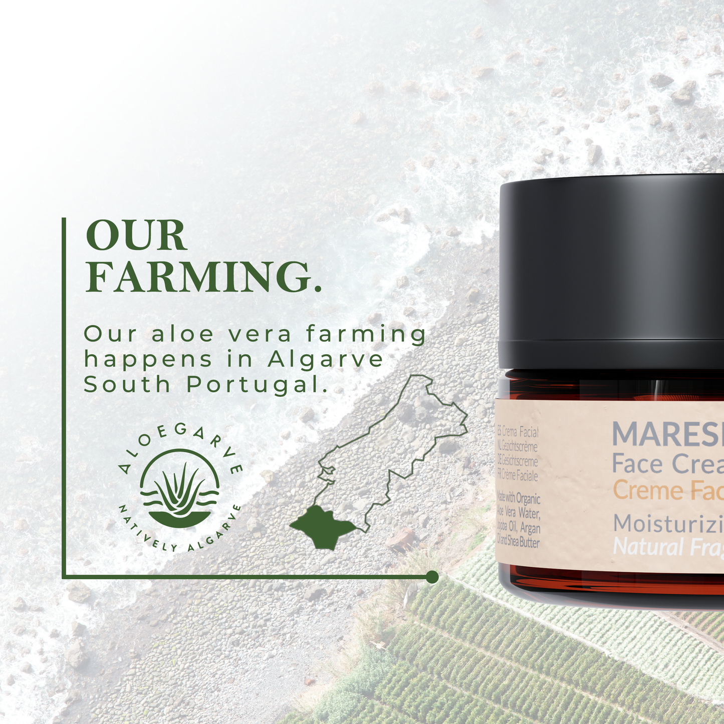 Reverse Aging and Glow Face Cream "Maresia" 50ml